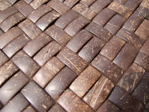 Coconut Shell Mosaic